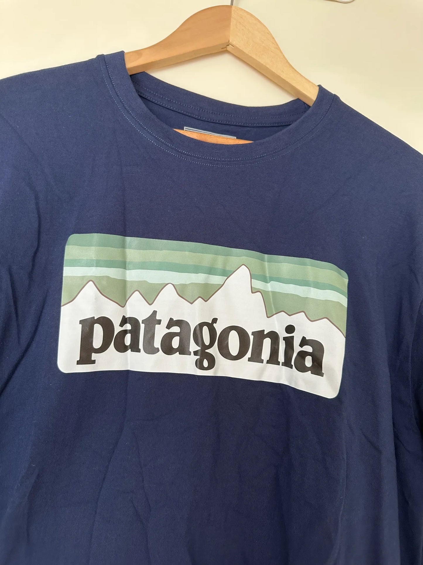 Patagonia-sweatshirt NWOT