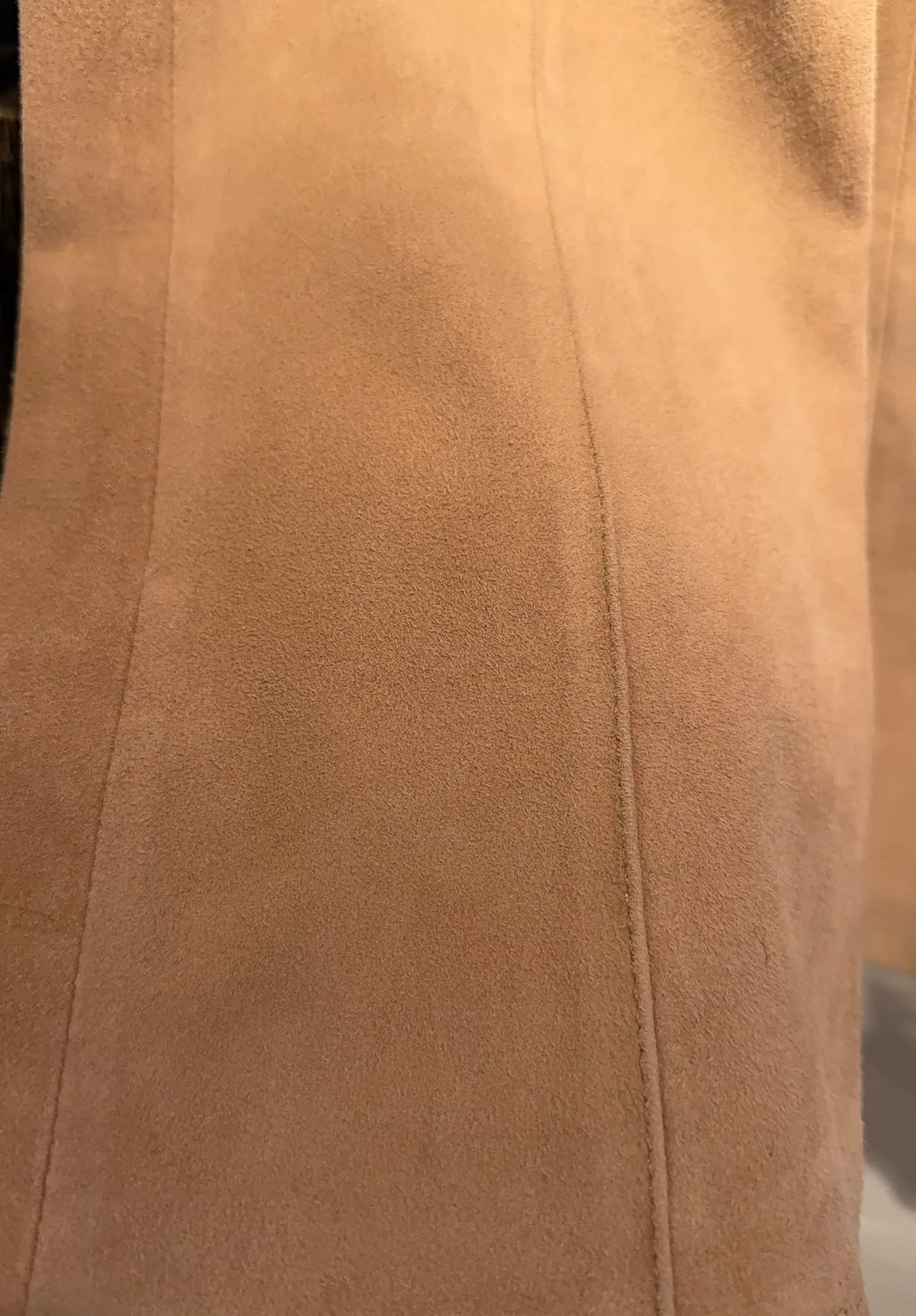 Dante6 Fyen Suede Trousers