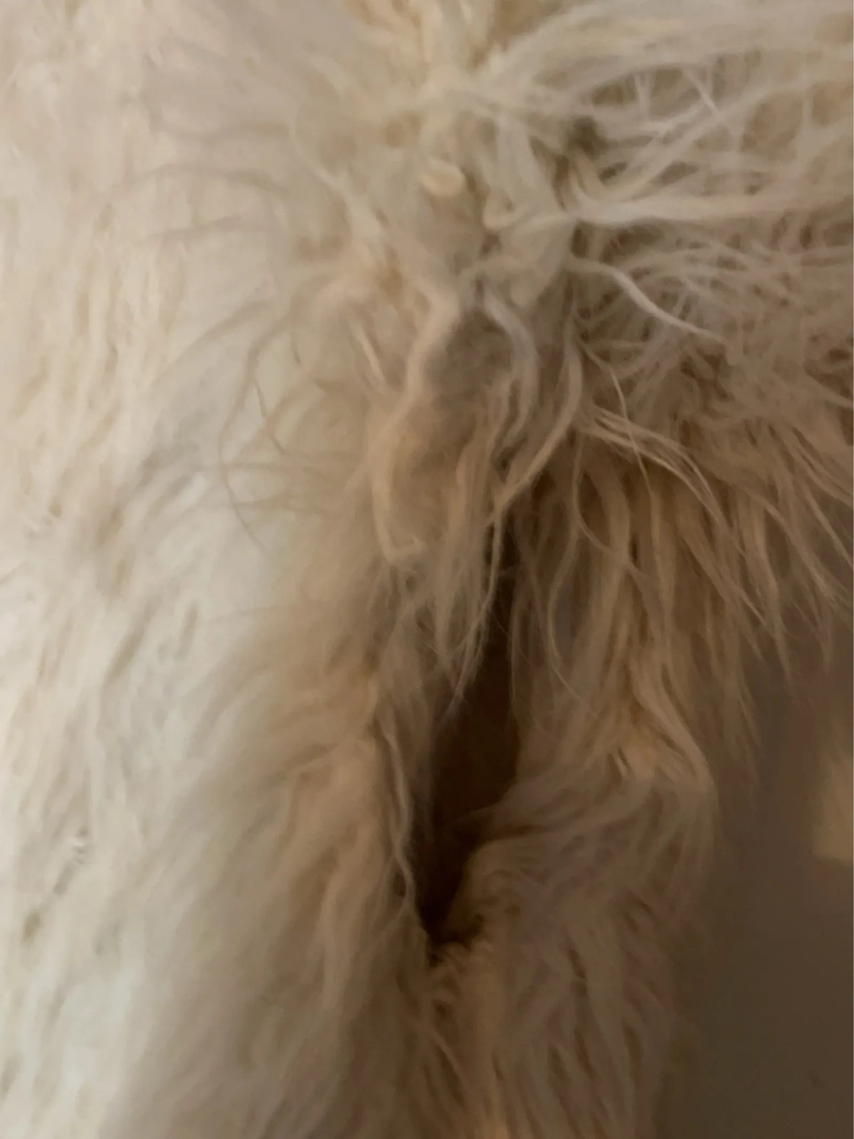 H&M Studio Fur jacket