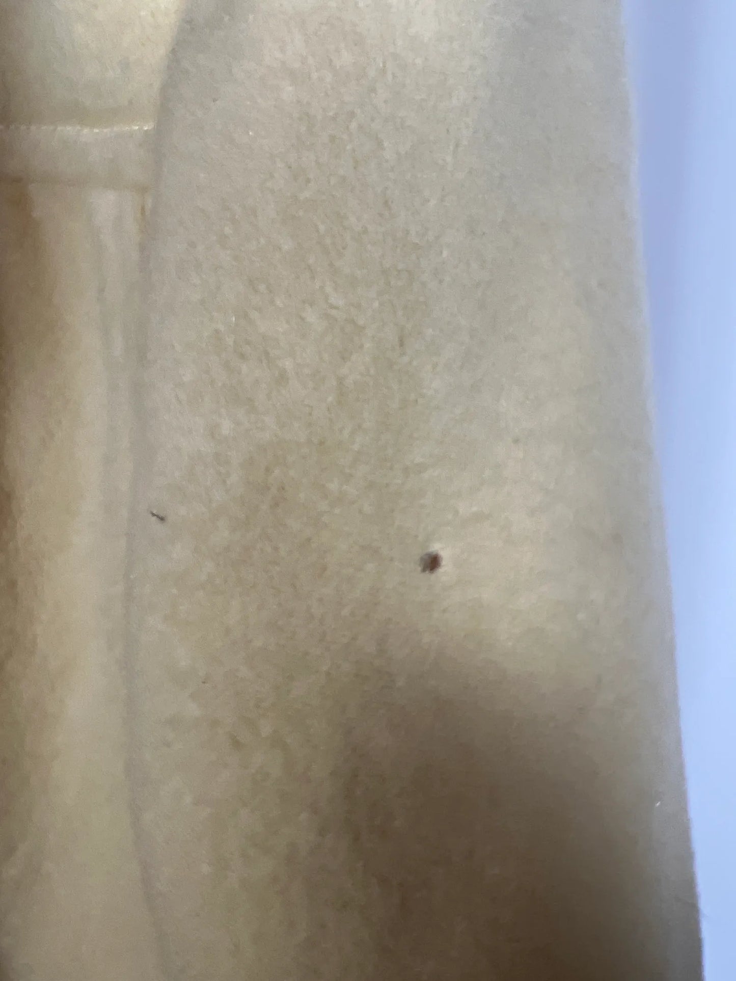 Maryam Nassir Zadeh Coat