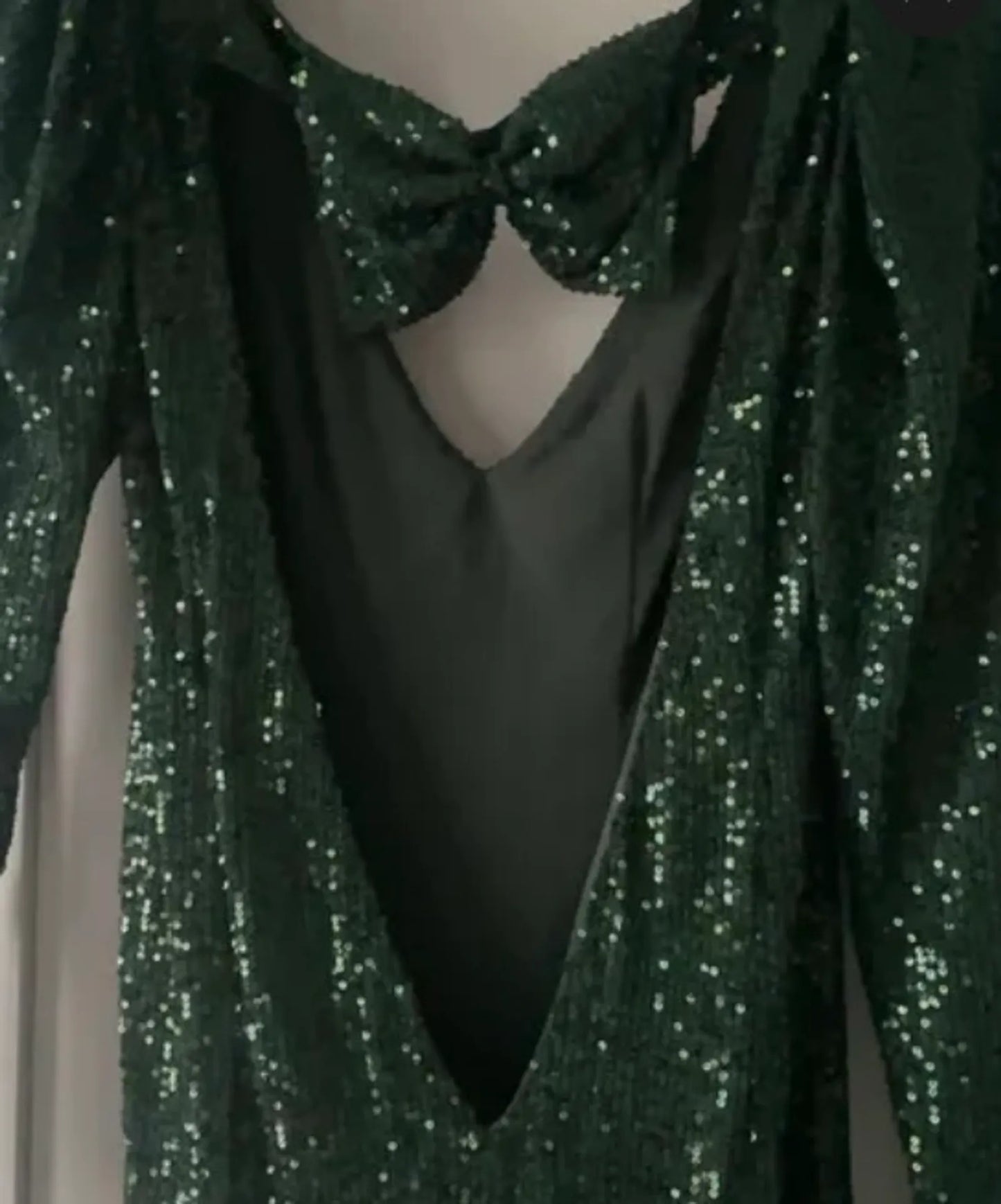 Caroline Constas-klänning NWT