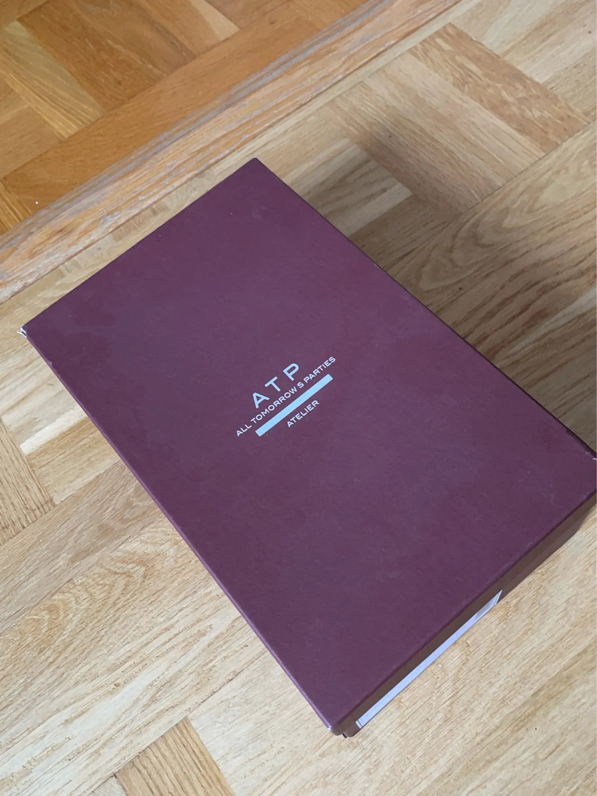 ATP Atelier Anzi-skinnloafers