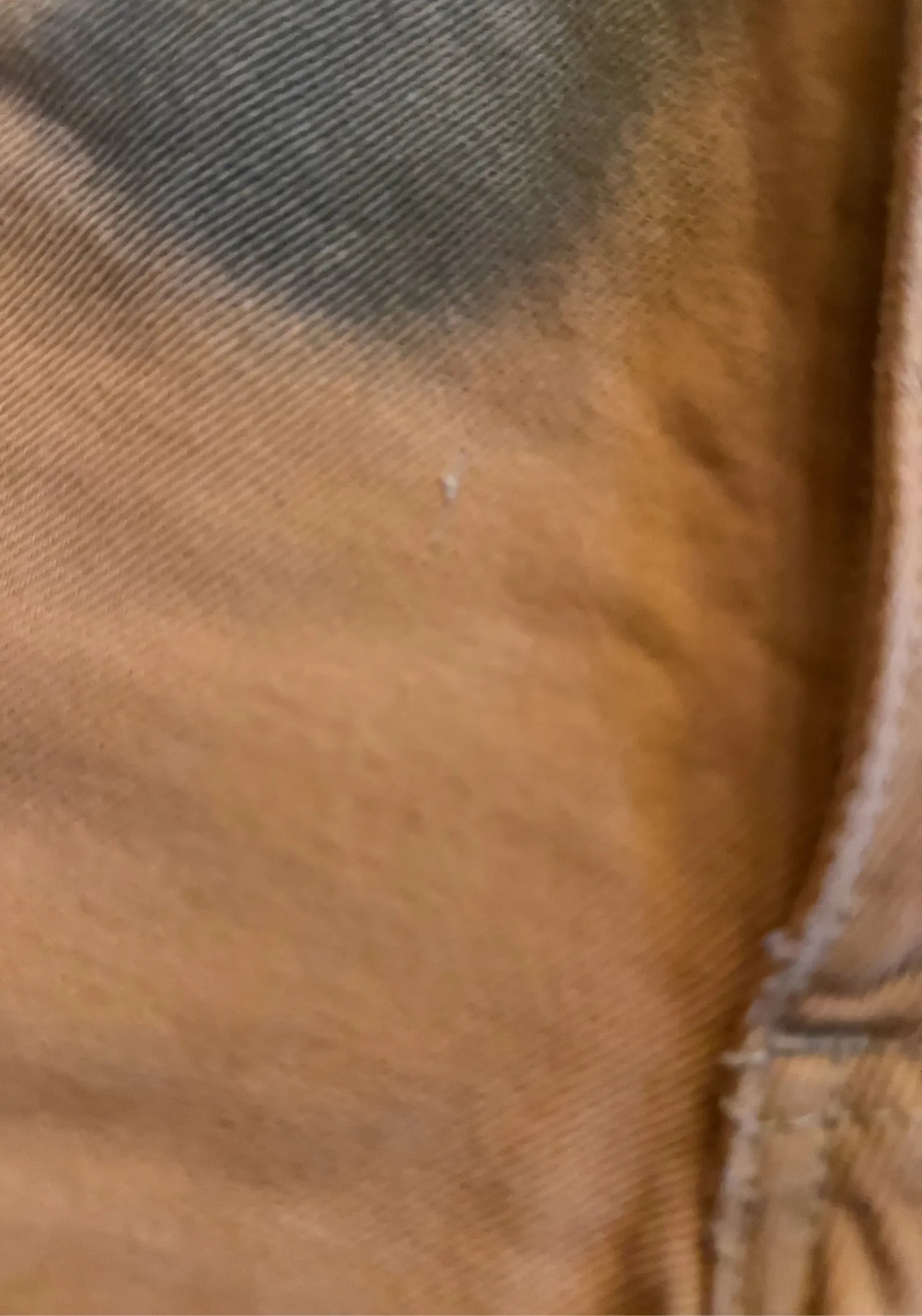 Eckhaus Latta Orange Echo Dot Tapered El-jeans