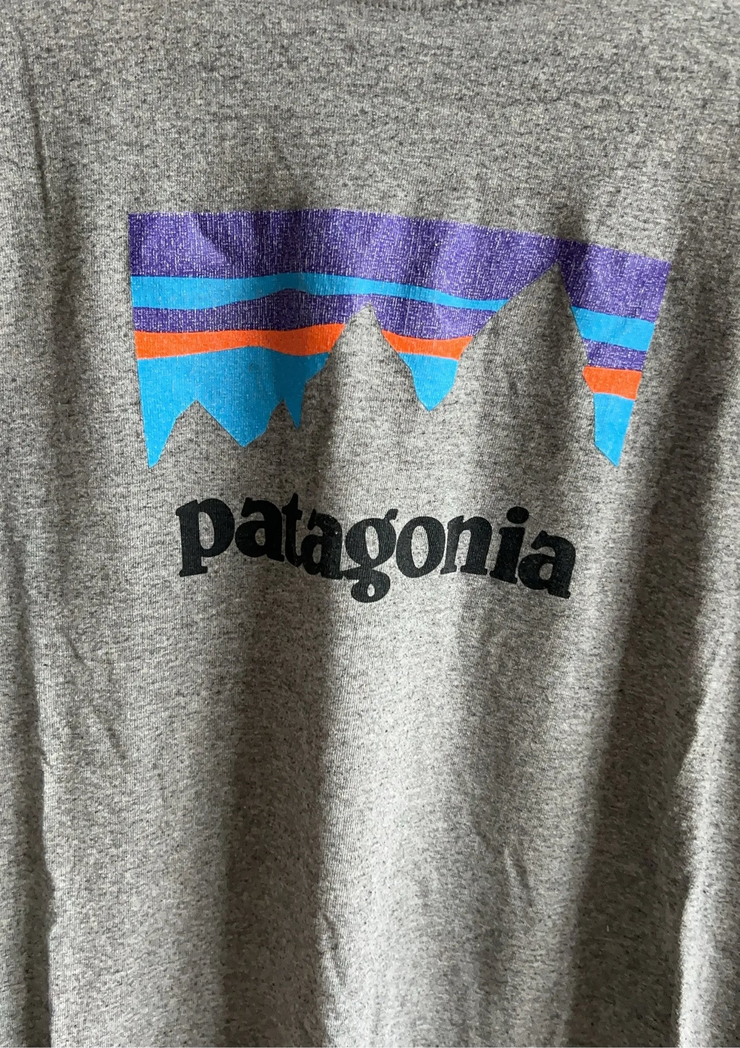Patagonia-t-shirt