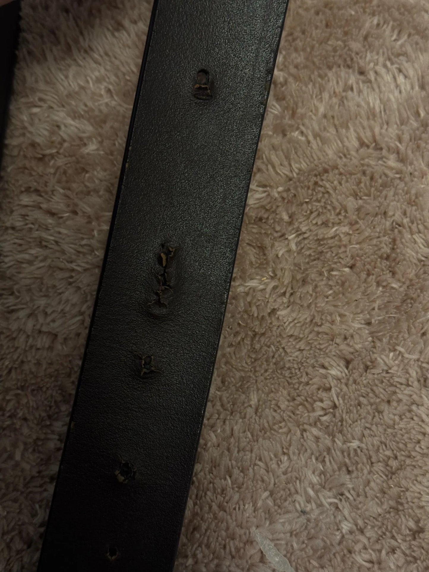 Gucci Belt