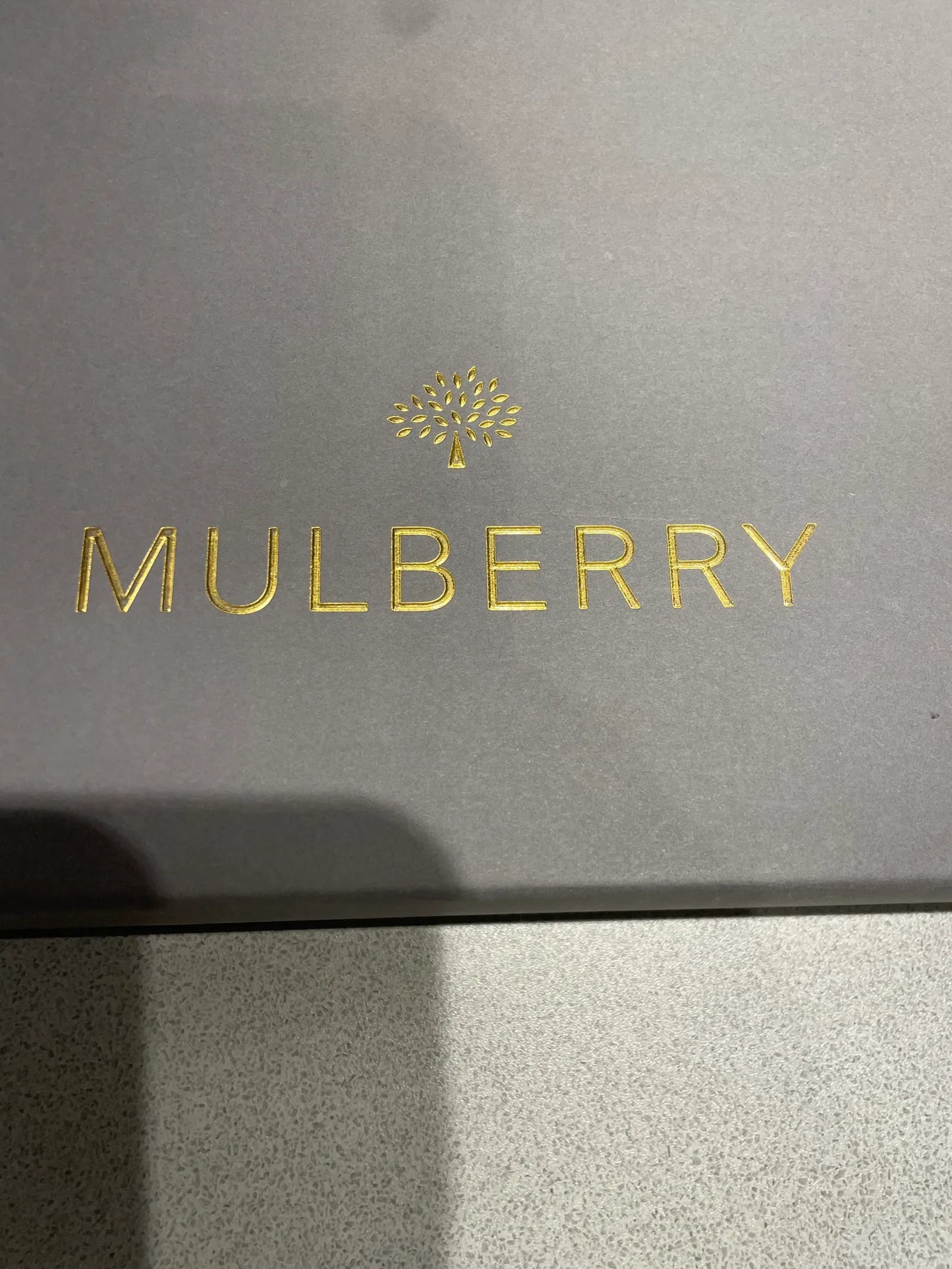 Mulberry Clutch bag