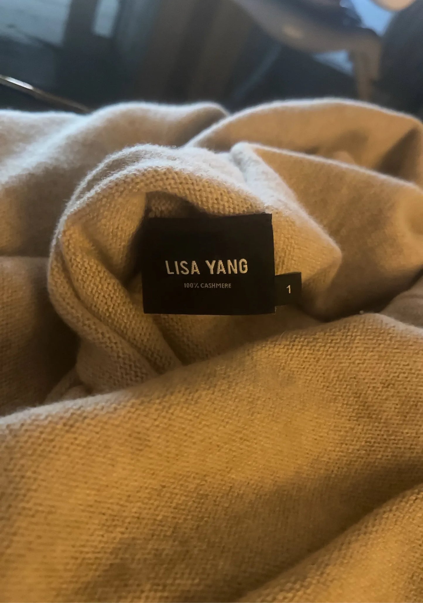 Lisa Yang-kashmirkjol NWOT