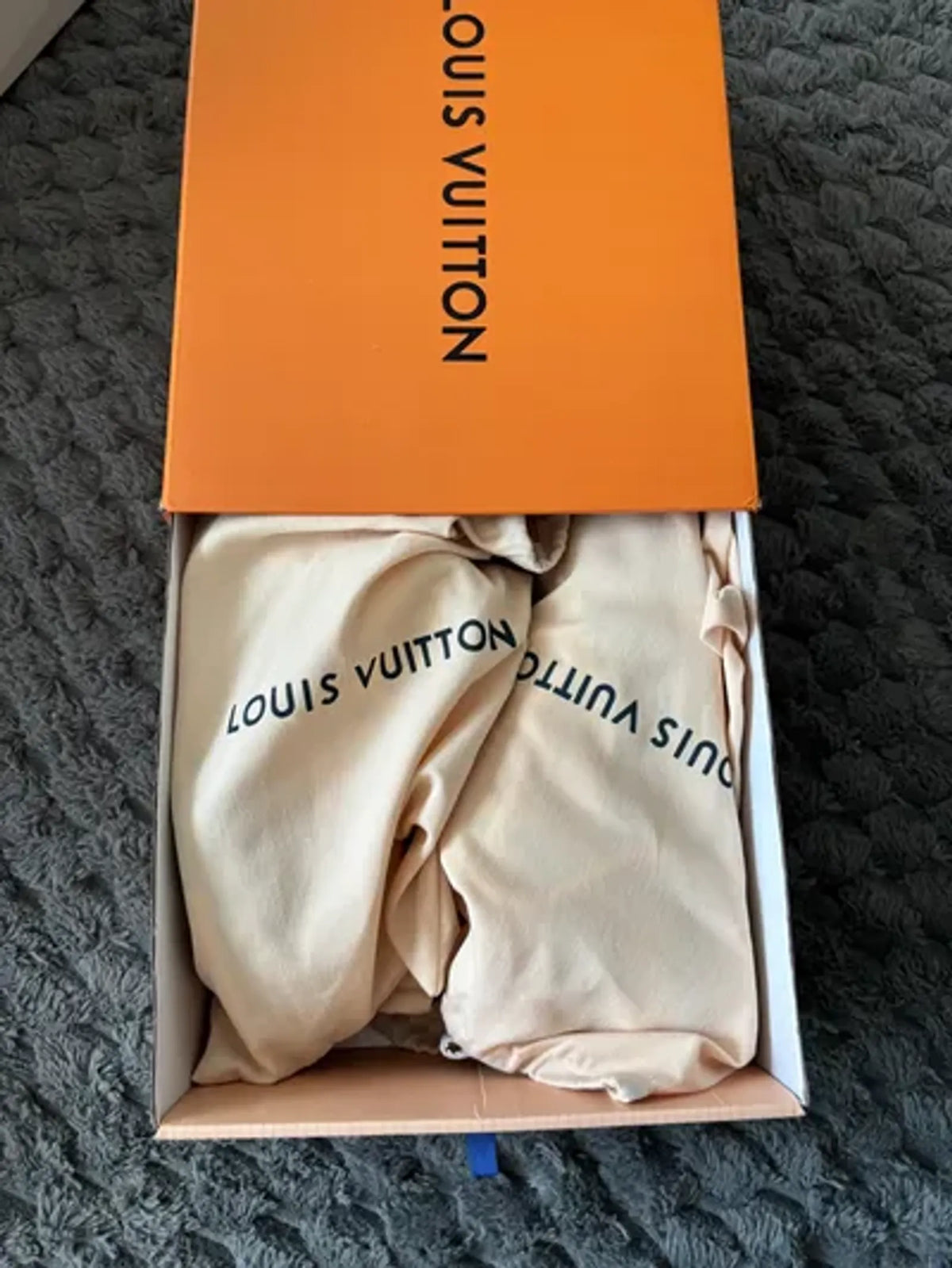 Louis Vuitton Louis Vitton Skates Sneakers