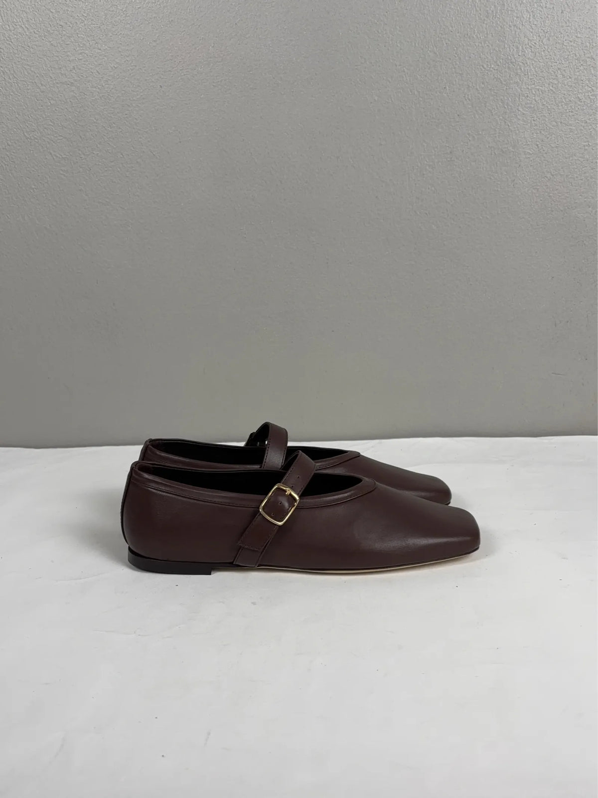 Blankens Delphine-skinnballerinaskor NWT