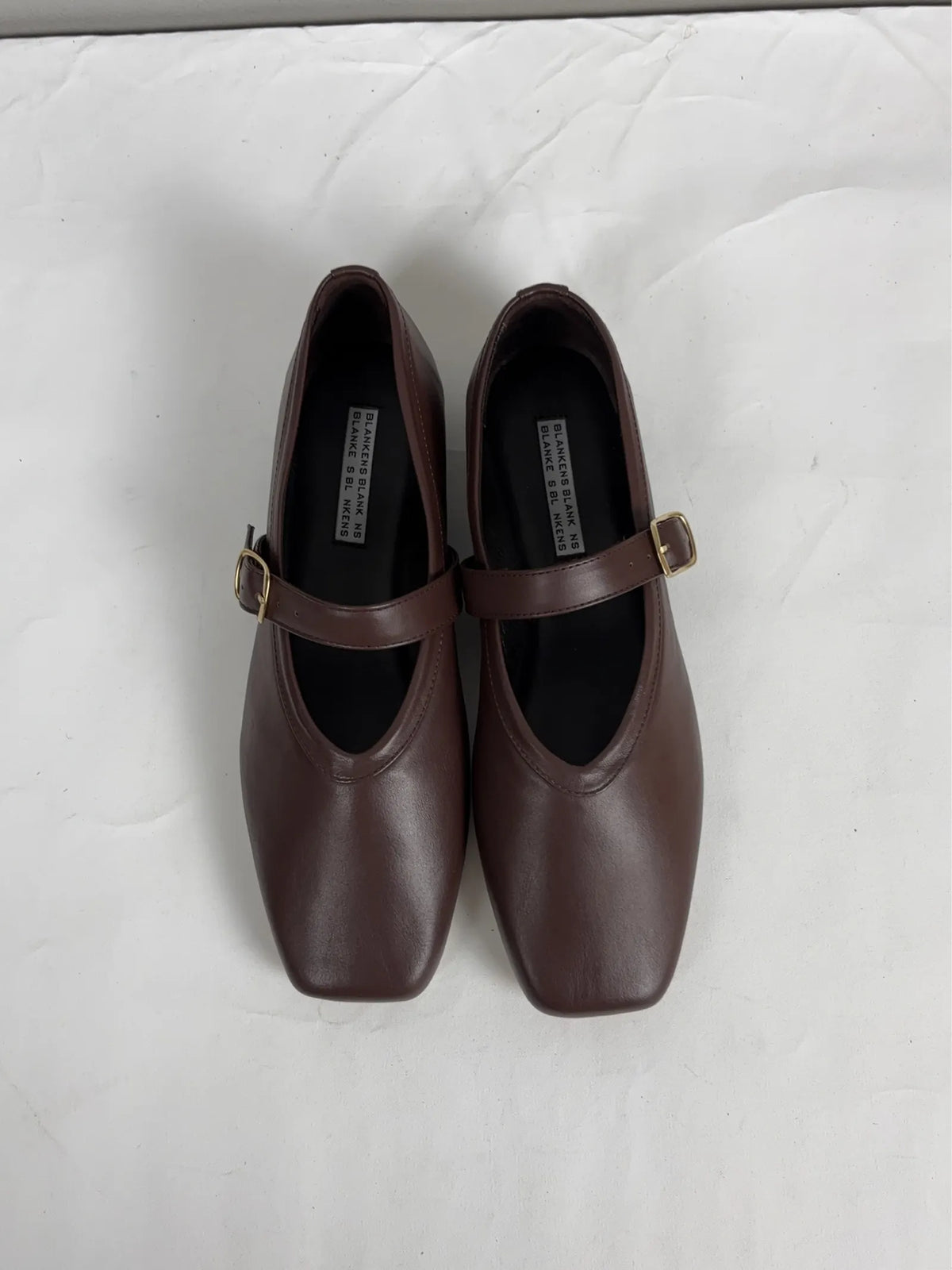 Blankens Delphine-skinnballerinaskor NWT