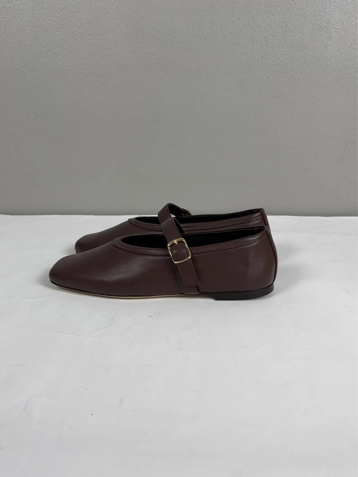 Blankens Delphine-skinnballerinaskor NWT