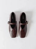 Blankens Delphine-skinnballerinaskor NWT