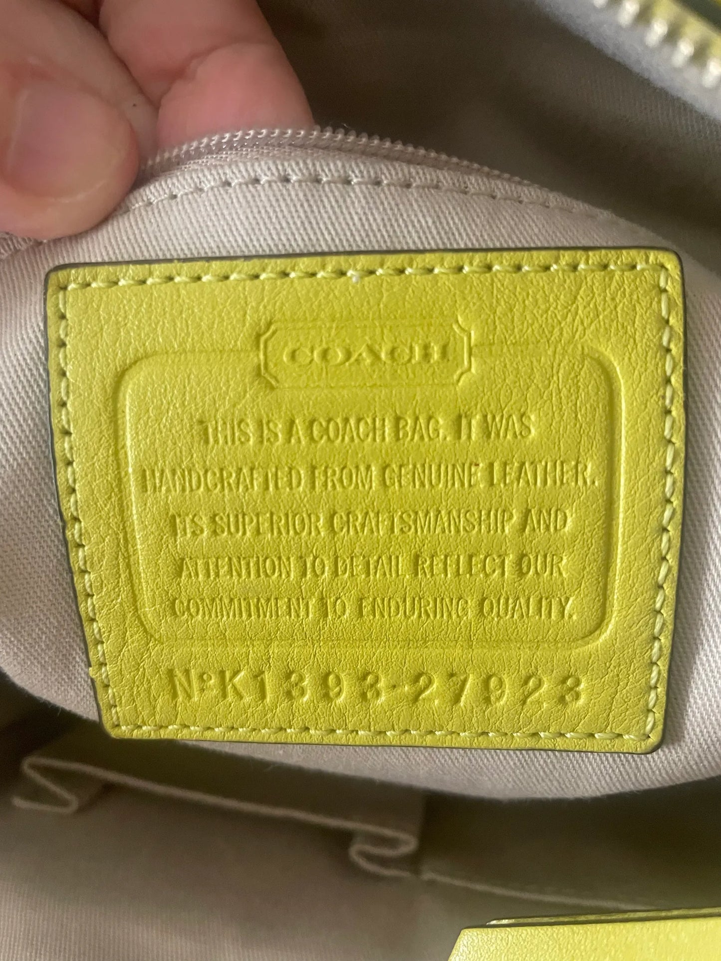 Coach Bleecker Mini Riley Lime Shoulder bag