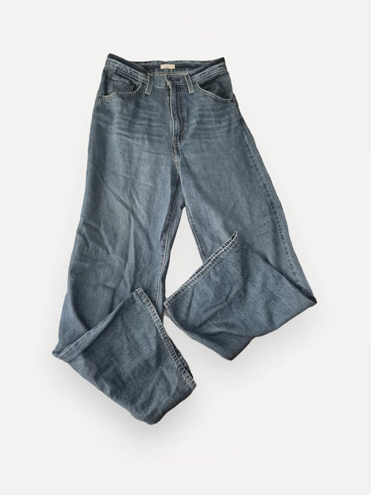 Levi's Chinch Baggy Jeans
