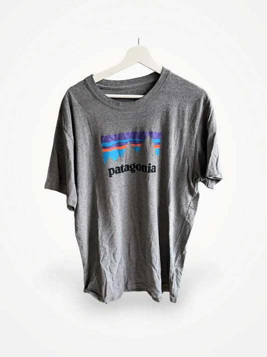 Patagonia-t-shirt