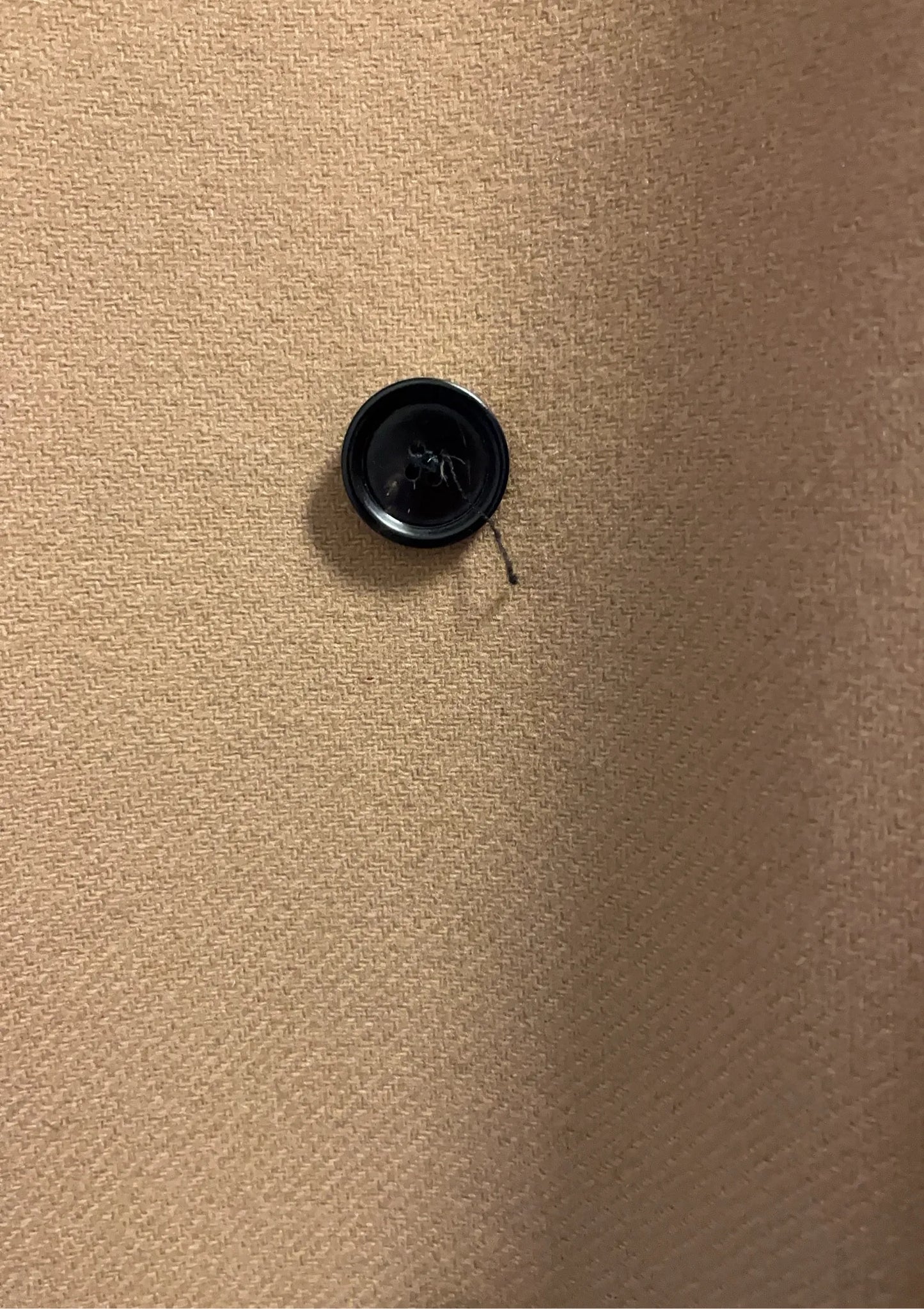 Filippa K Kaya Coat