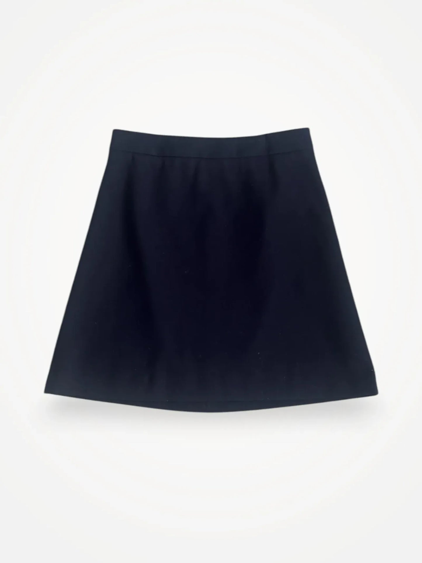 Ivy & Oak Skirt