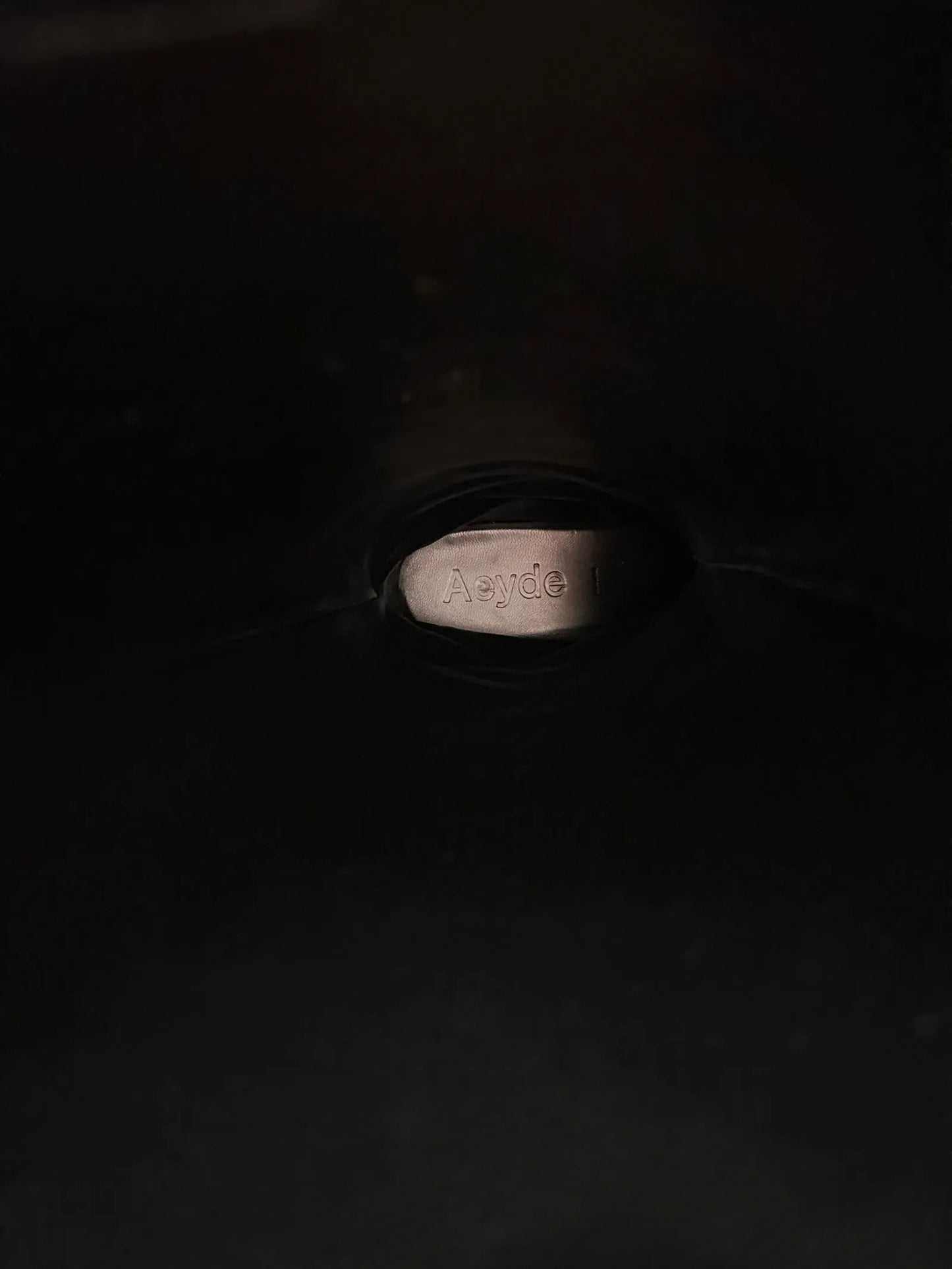 Aeyde-skinnboots