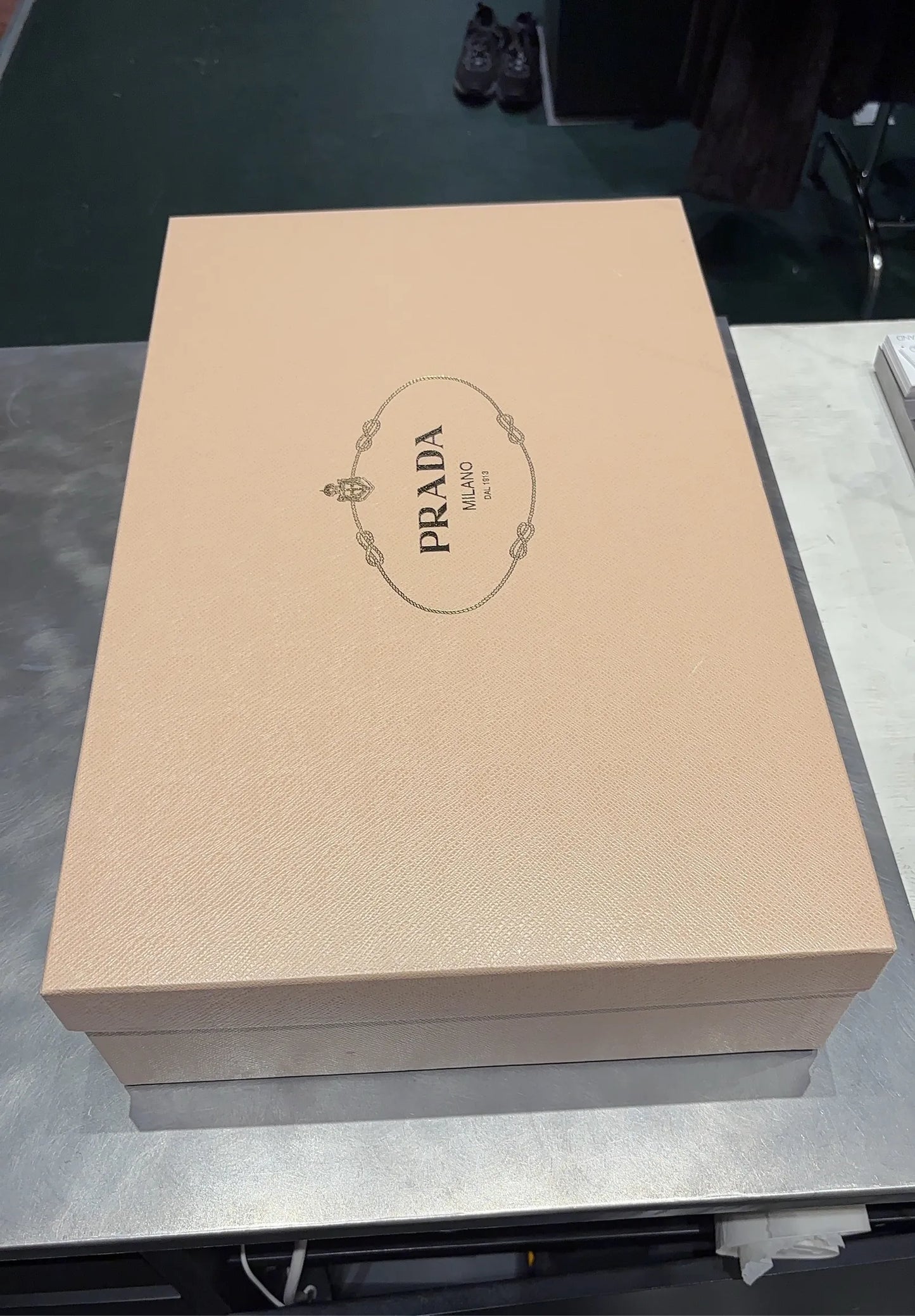 Prada-skinnboots