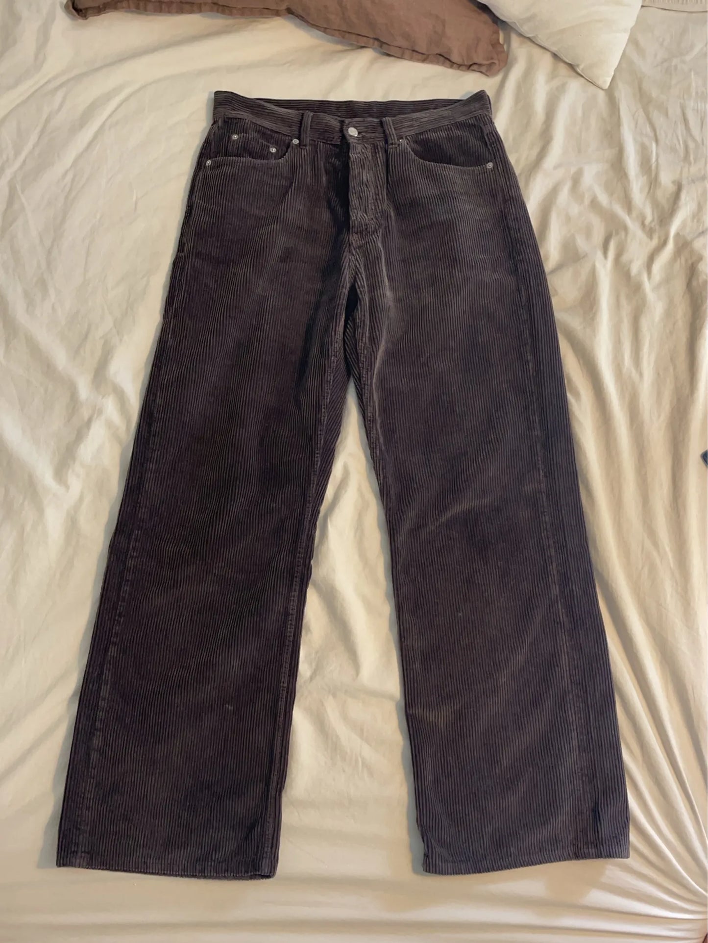 Hope Criss-jeans NWOT