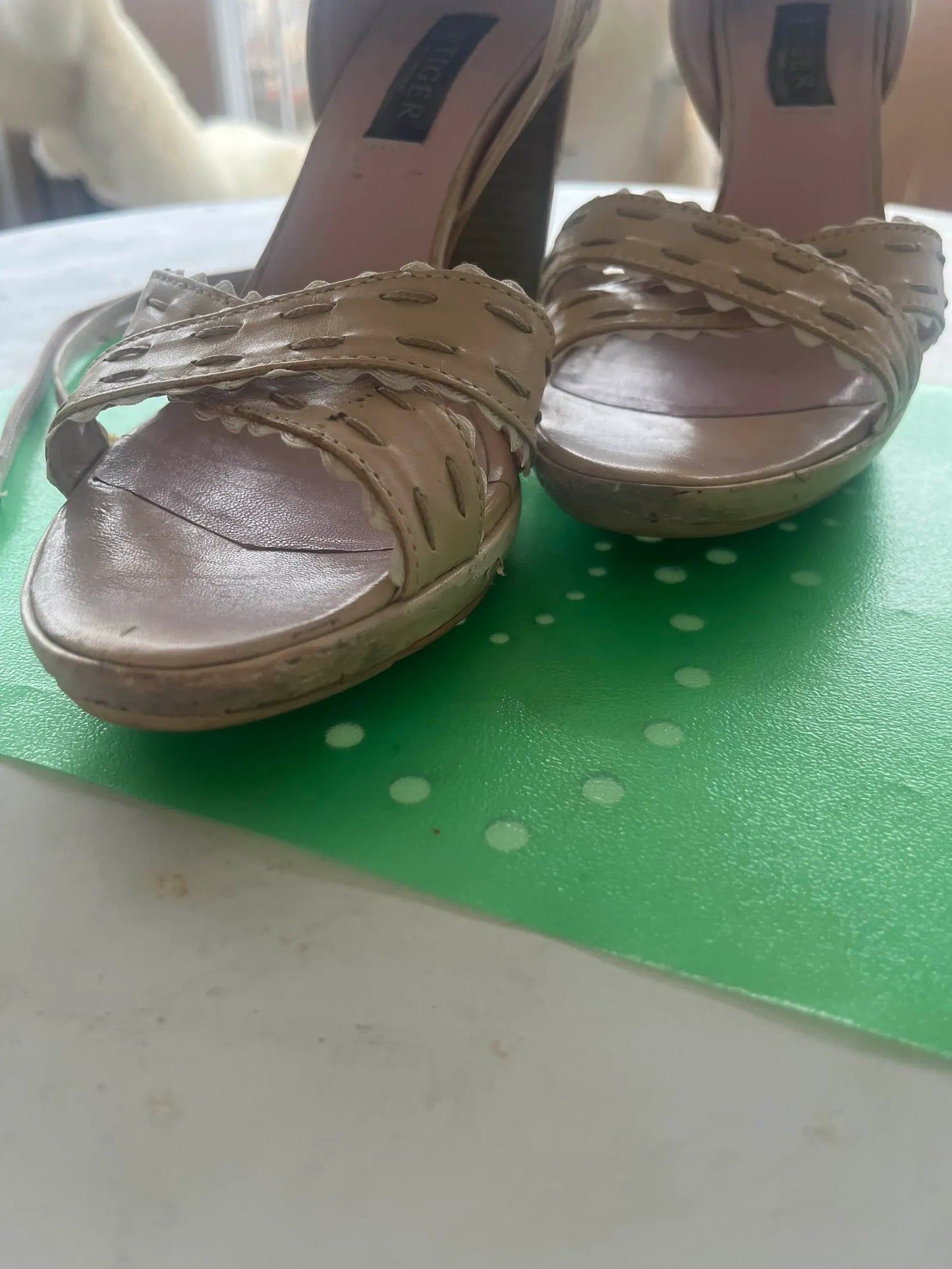 Tiger of Sweden Heels