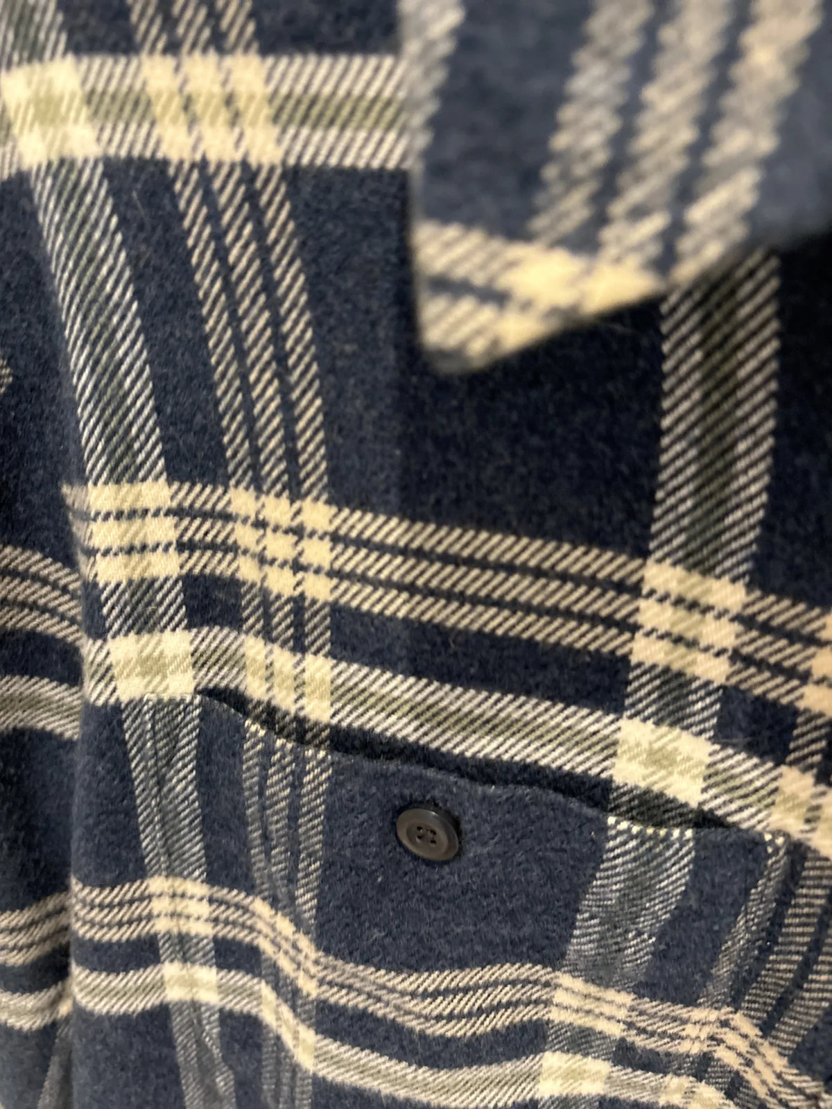 Patagonia Shirt