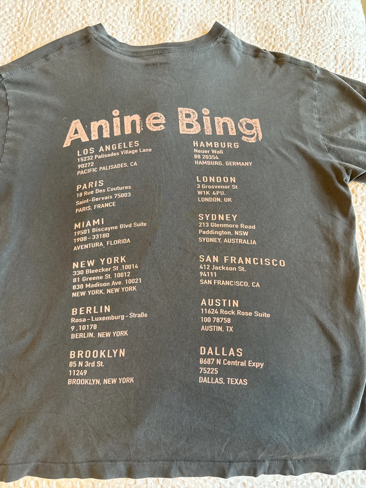 Anine Bing Cade Smiley T-shirt