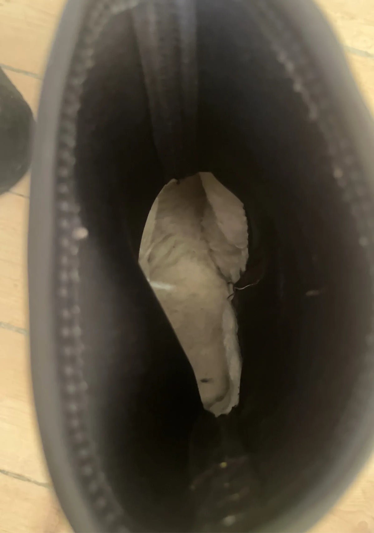 Ugg Winter Shoes