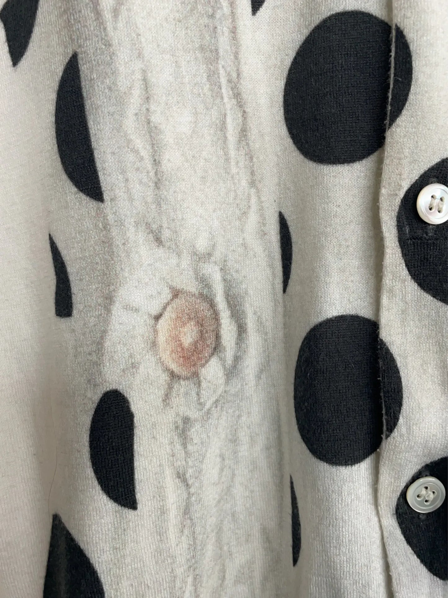 Comme des Garcons-kashmirkofta