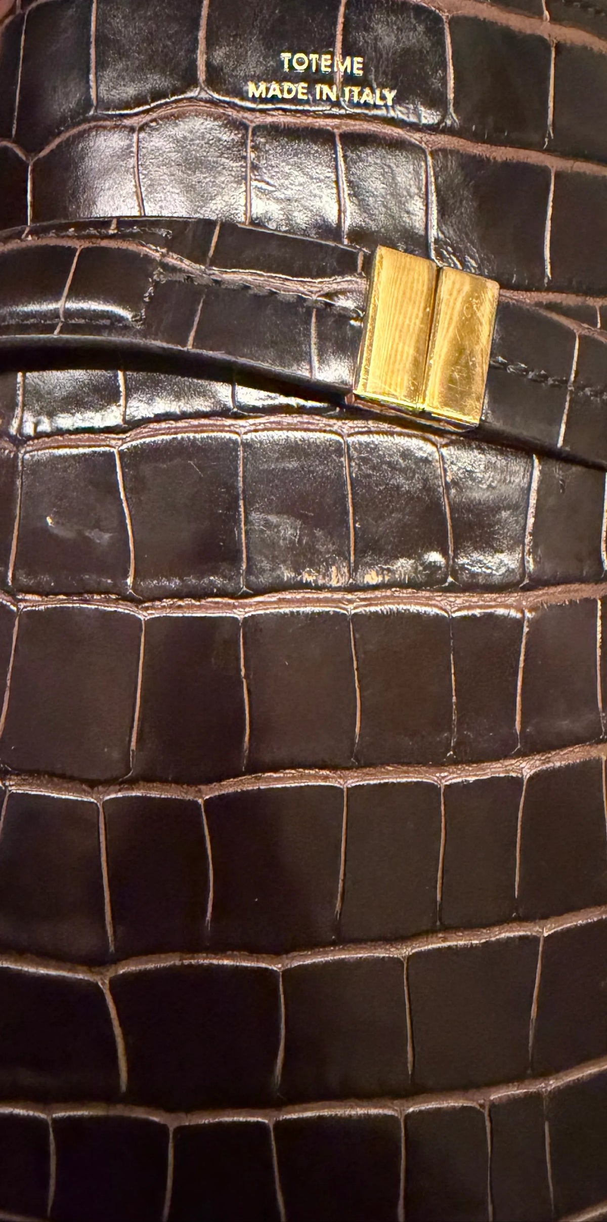 Toteme Croco-embossed Bucket In Dark Brown-skinnaxelremsväska