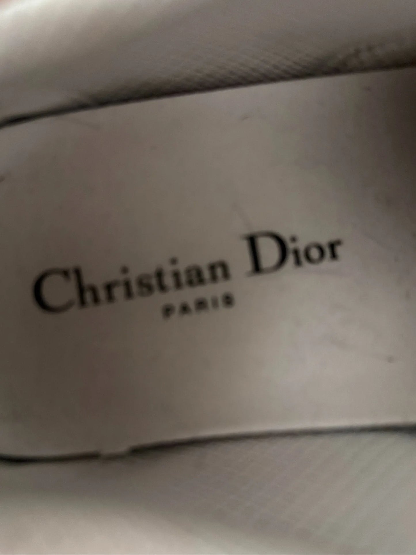 Christian Dior Dior Sneakers