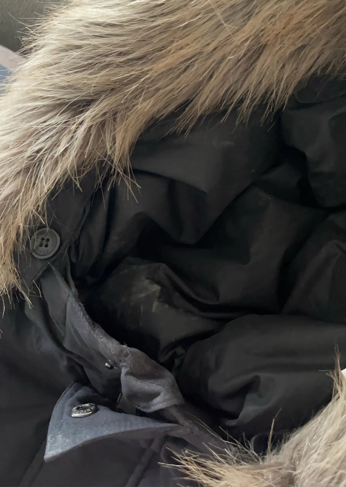 Peak Performance Puffer jacket