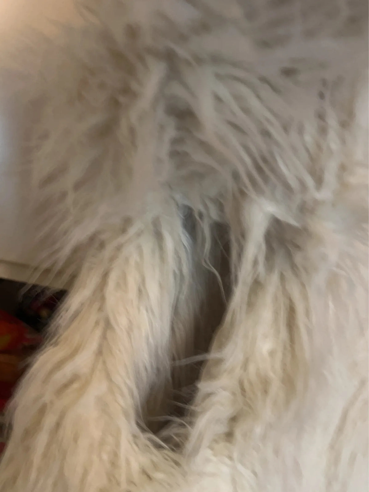 H&M Studio Fur jacket