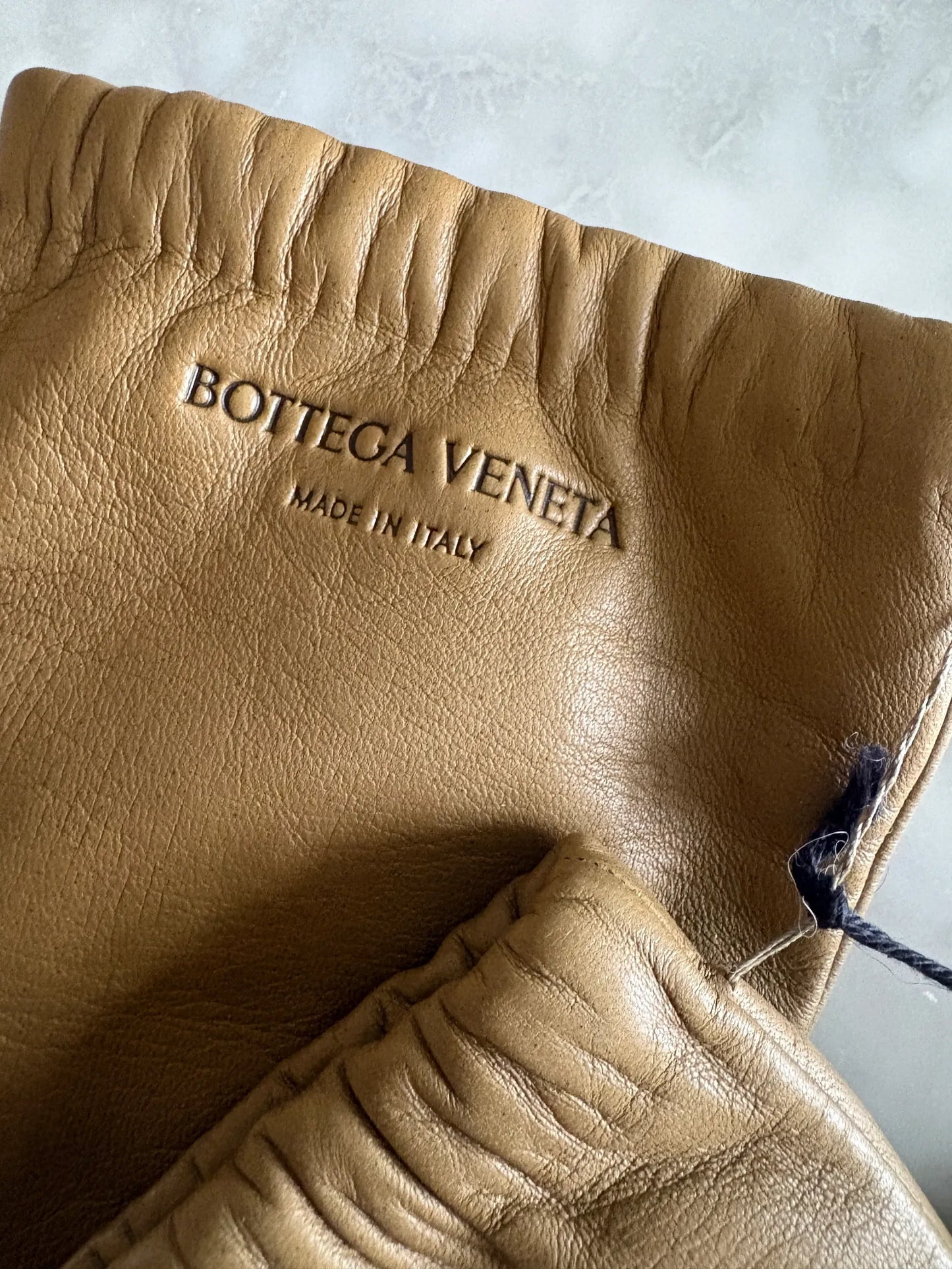 Bottega Veneta Gloves