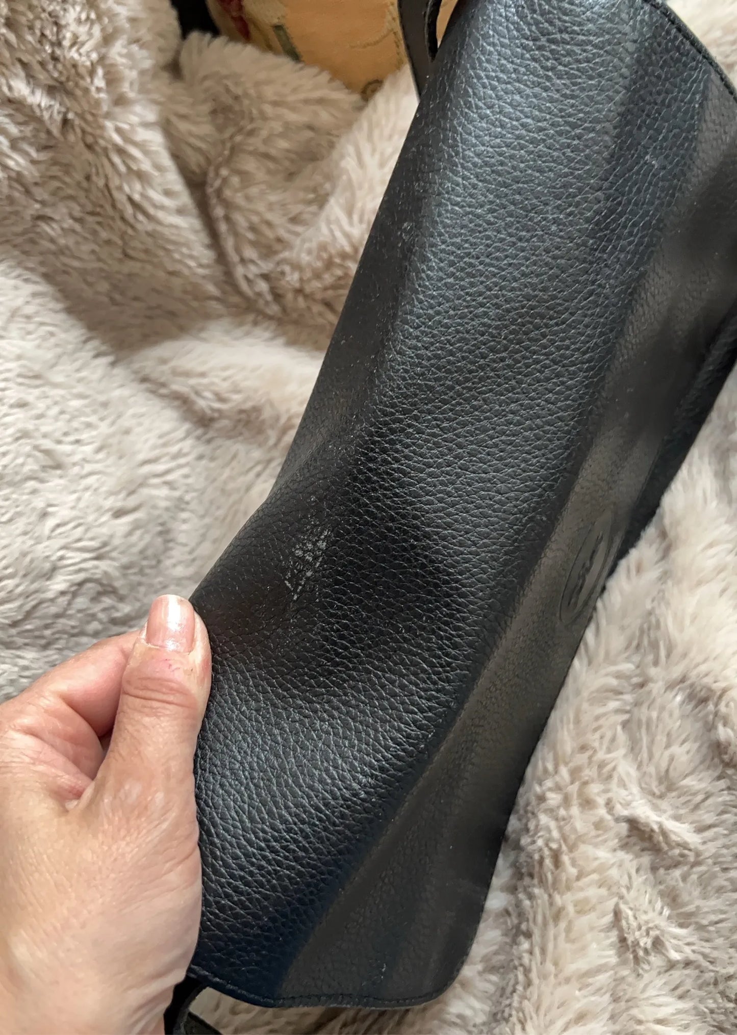 Longchamp Handbag
