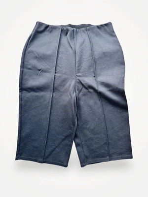Anine Bing-shorts NWOT