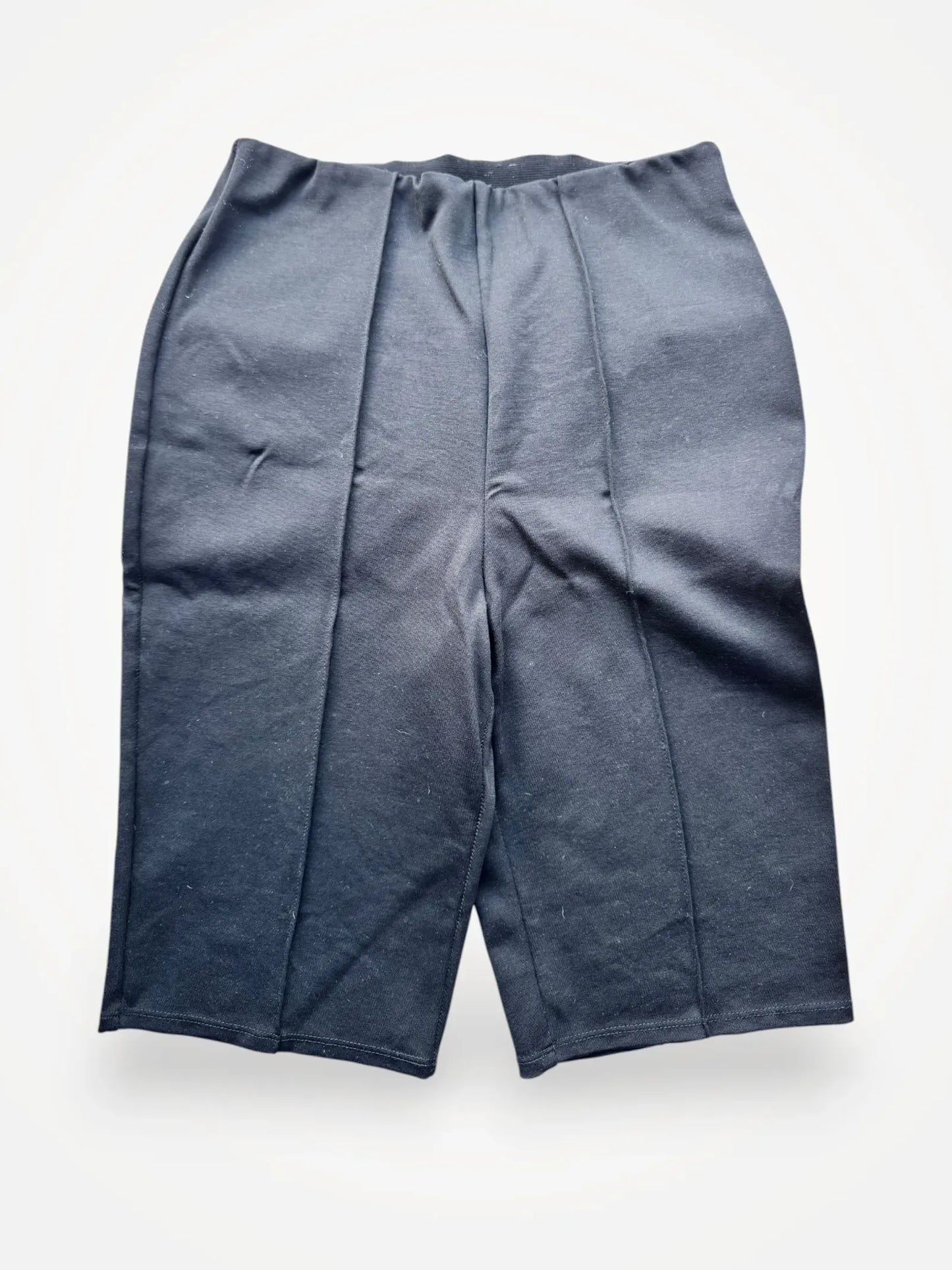 Anine Bing-shorts NWOT