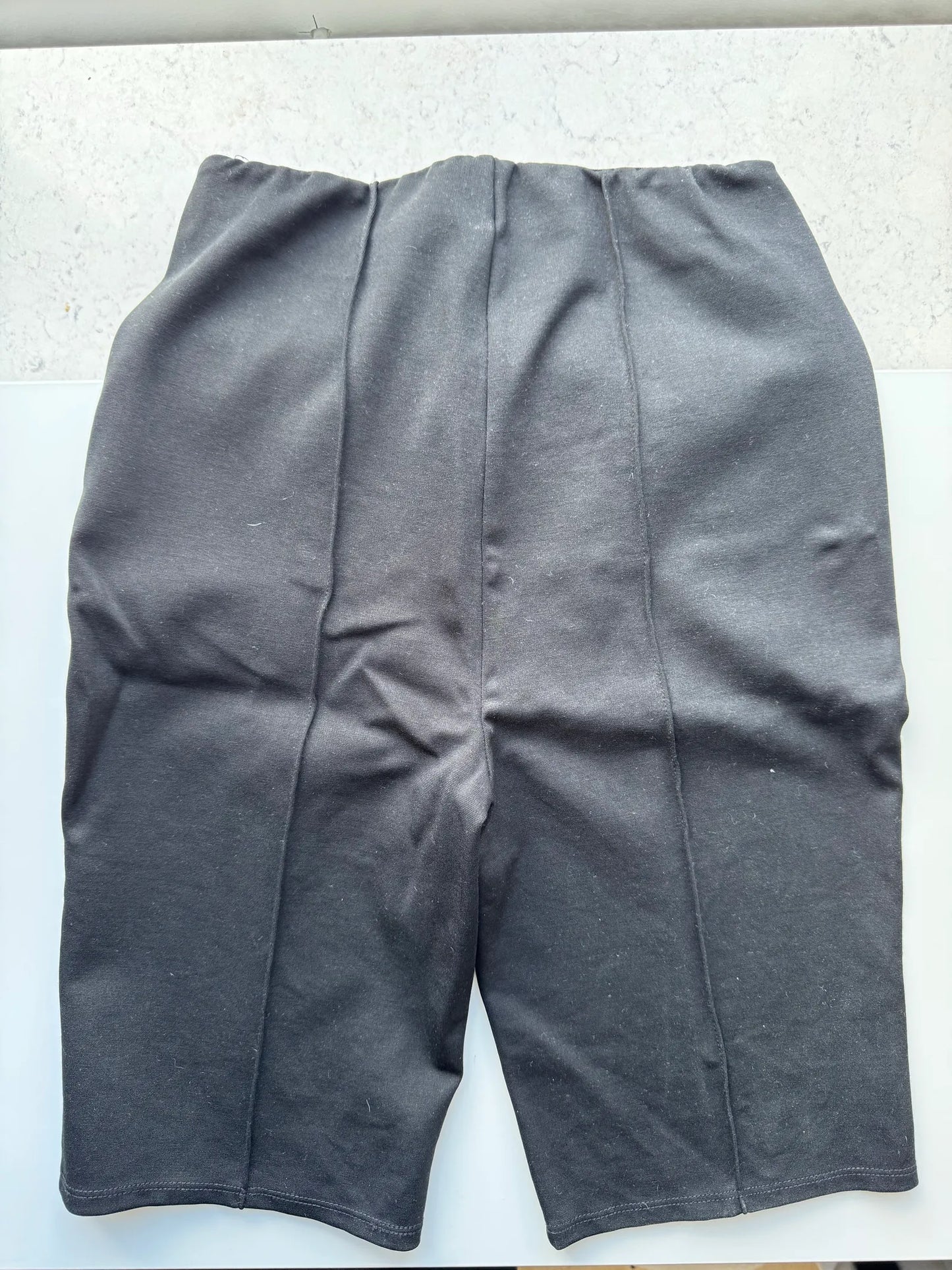 Anine Bing-shorts NWOT