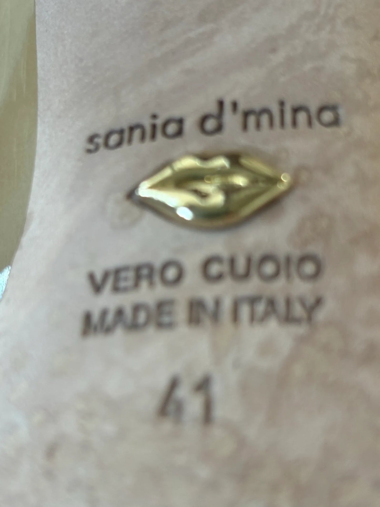Sania d’Mina Bondi Sulver-skinnklackar