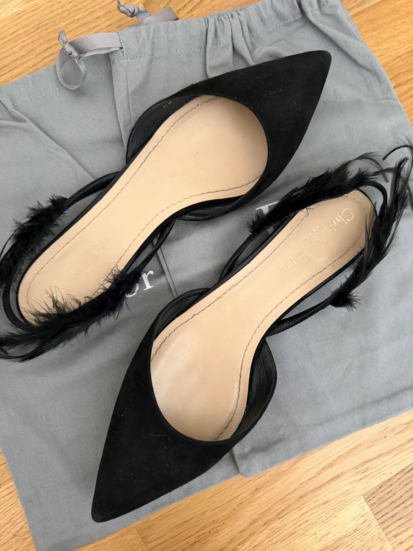 Christian Dior Suede Feather Dior Ethnie Flats-skinnballerinaskor