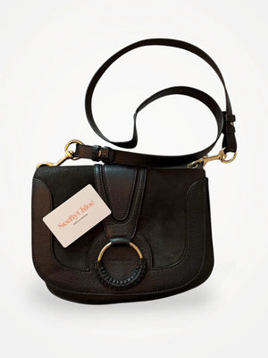 Chloé Hana Handbag