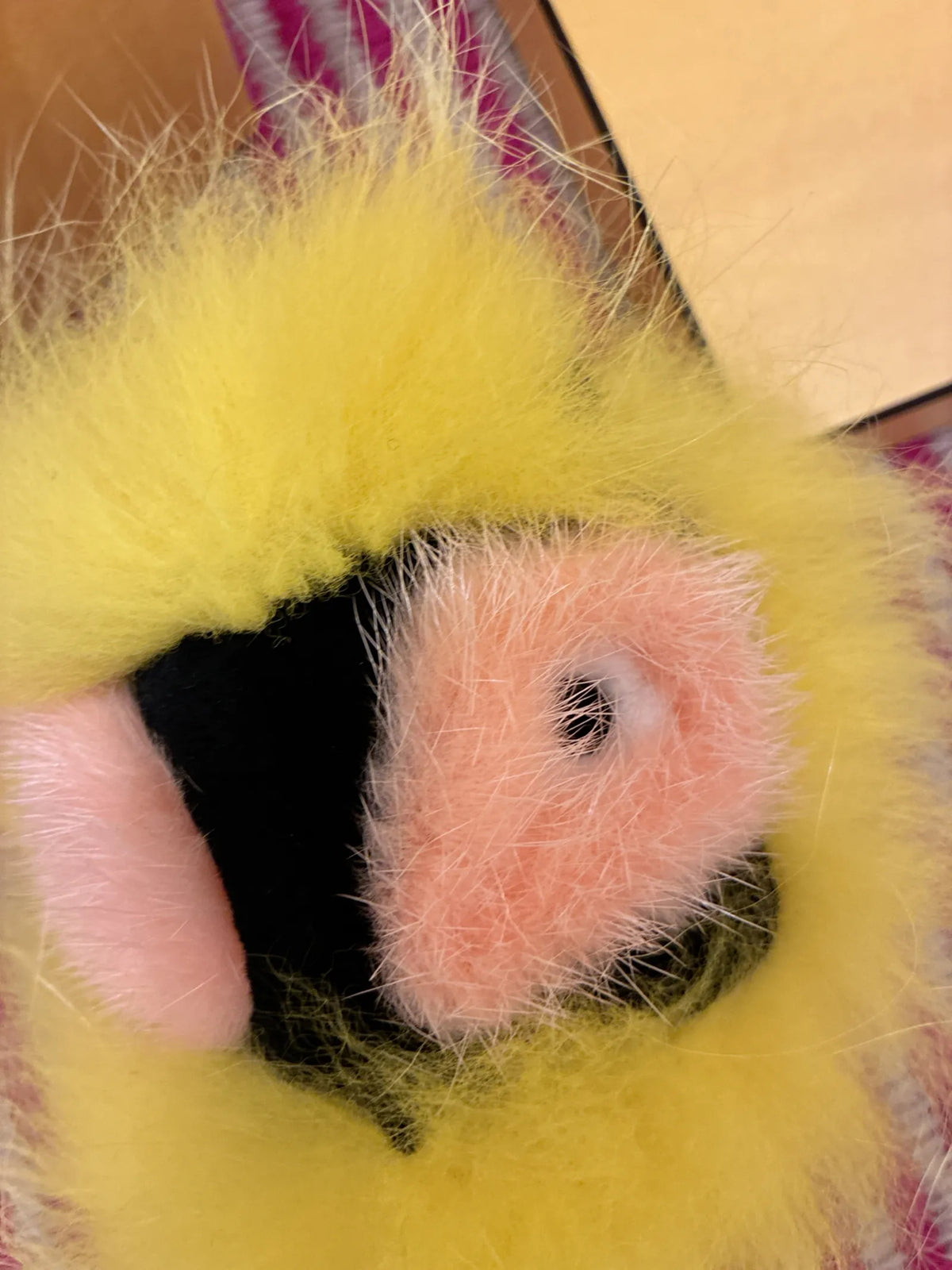 Fendi Bag