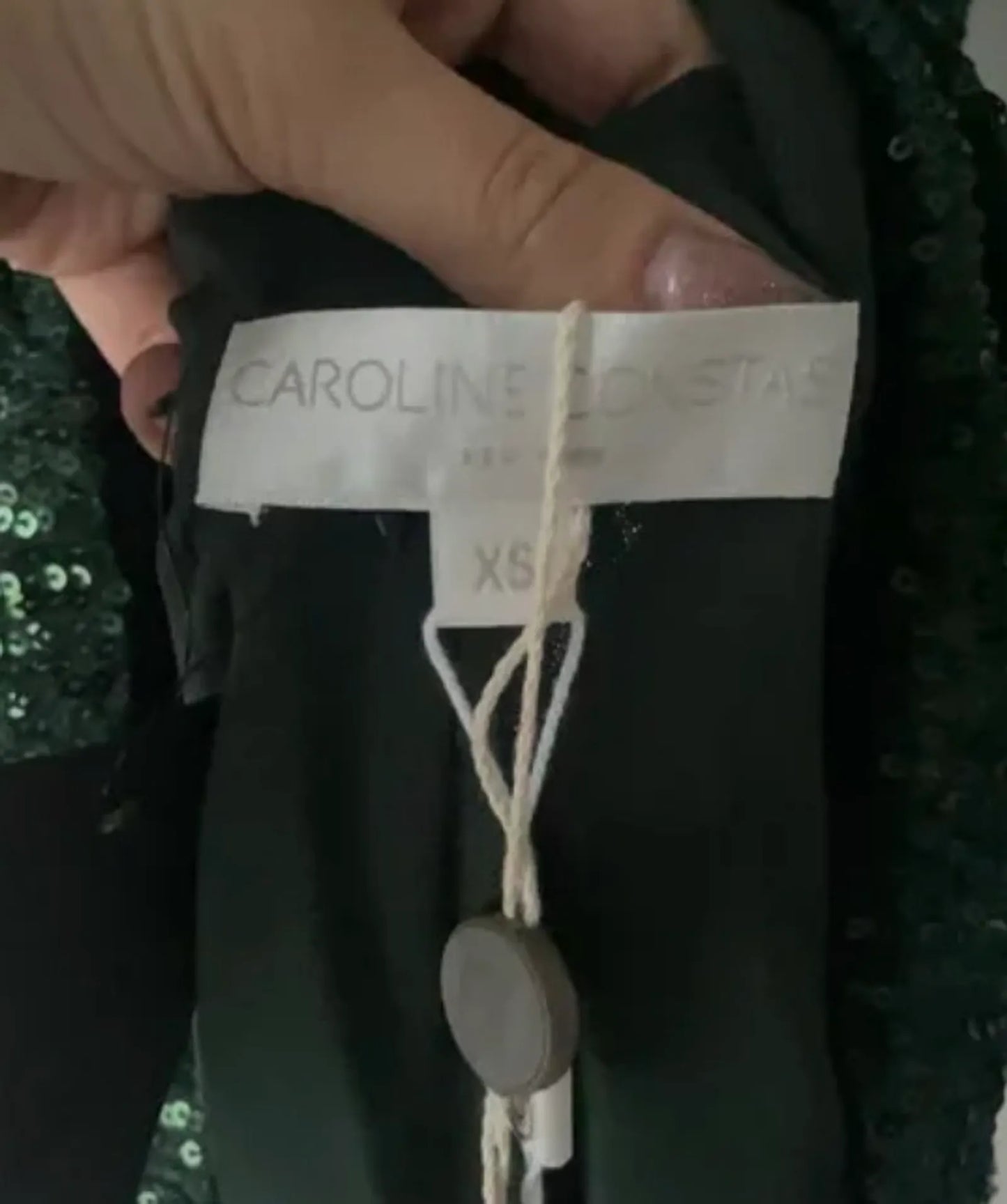 Caroline Constas Dress