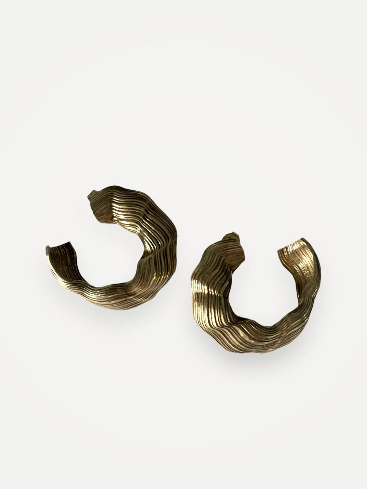 Abluvio Earrings Earring