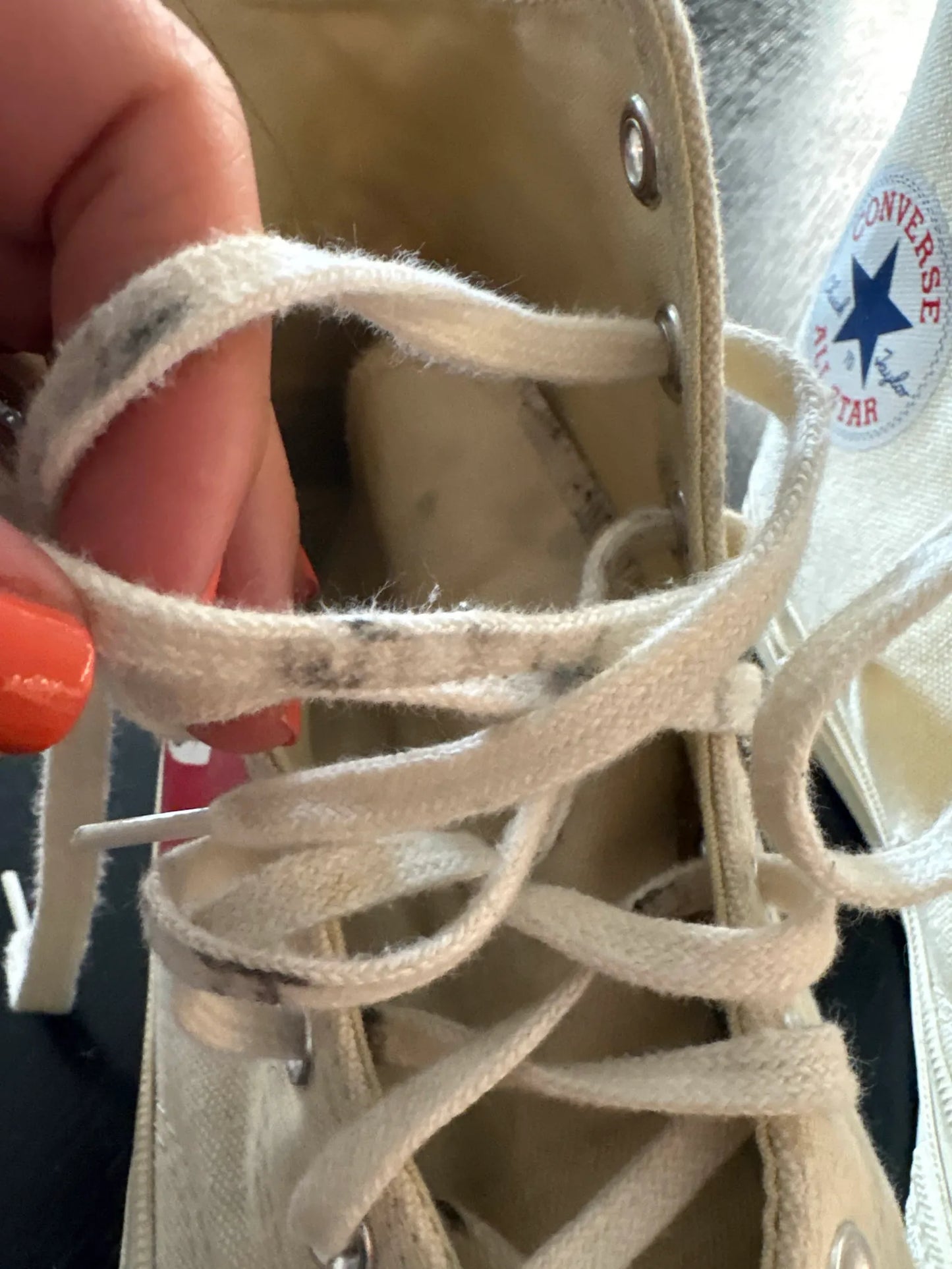 Converse Sneakers