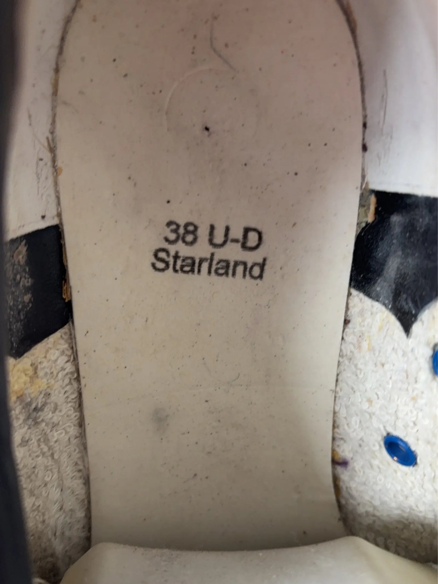 Golden Goose /db-skinnsneakers