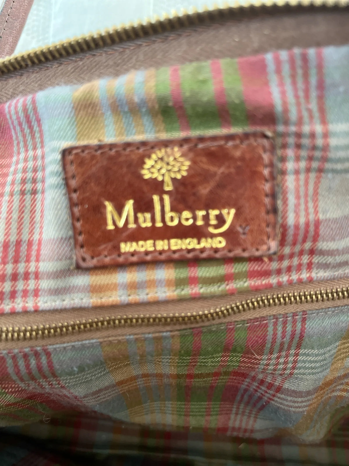 Mulberry-skinnaxelremsväska