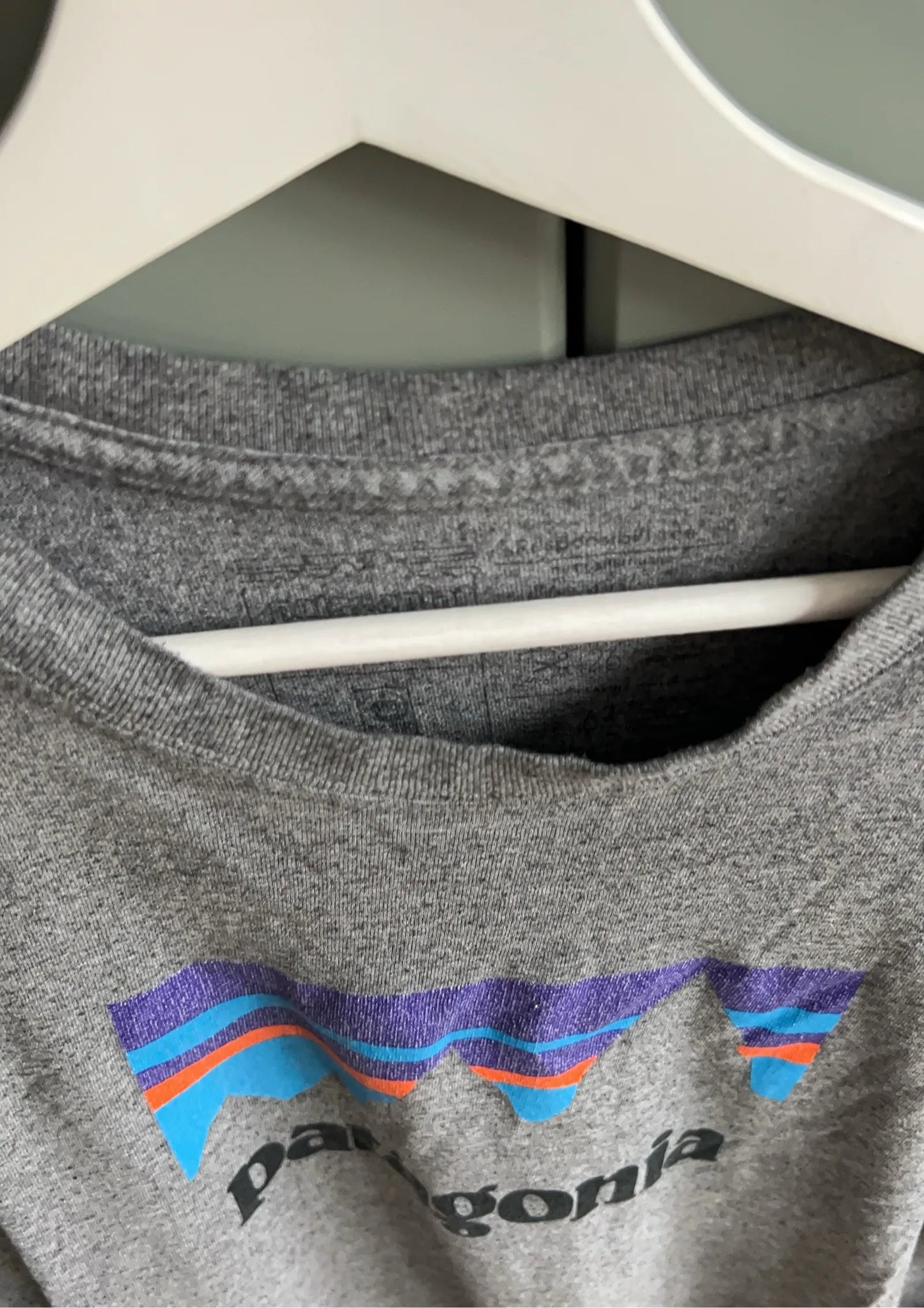 Patagonia-t-shirt