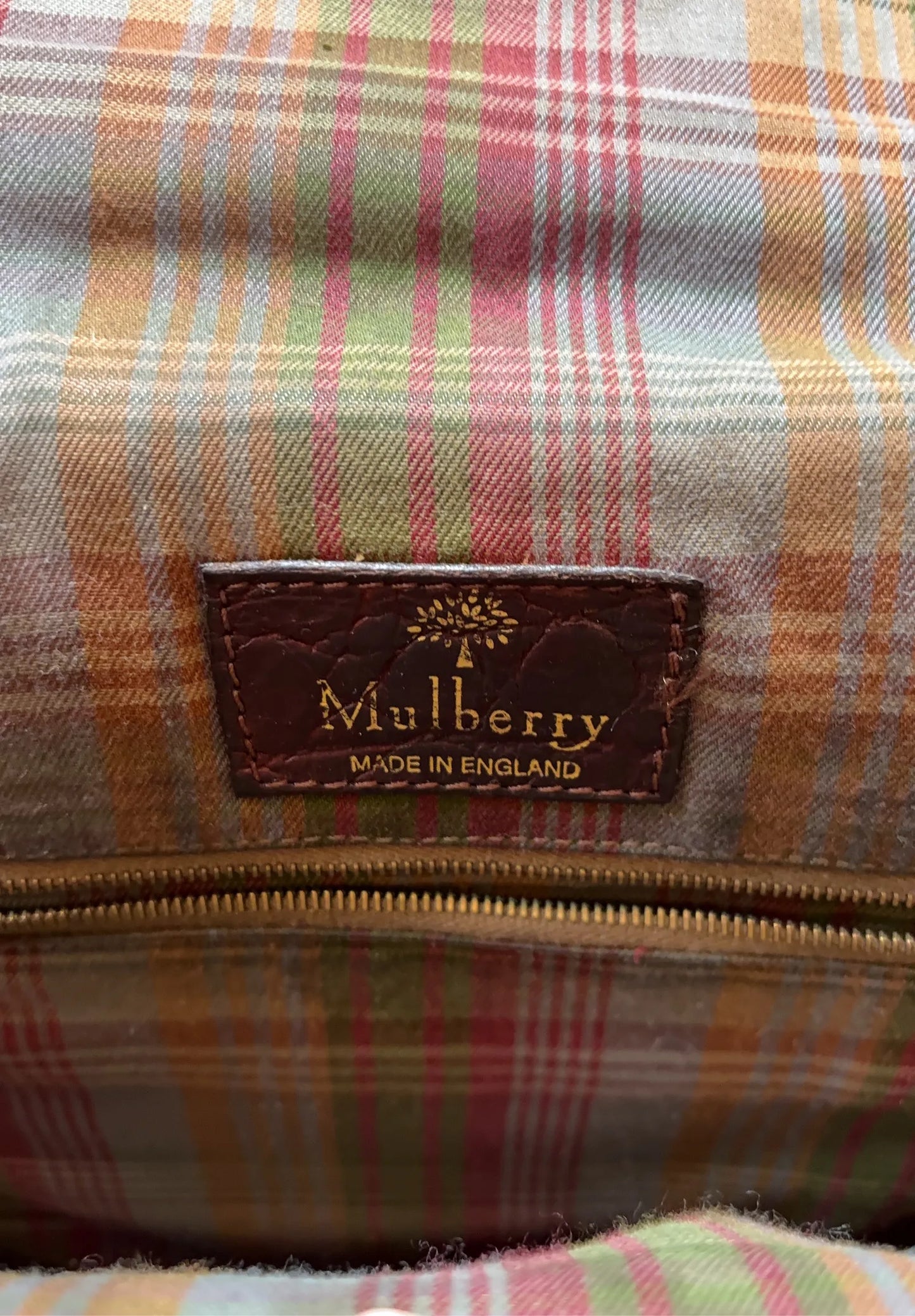 Mulberry-skinnaxelremsväska
