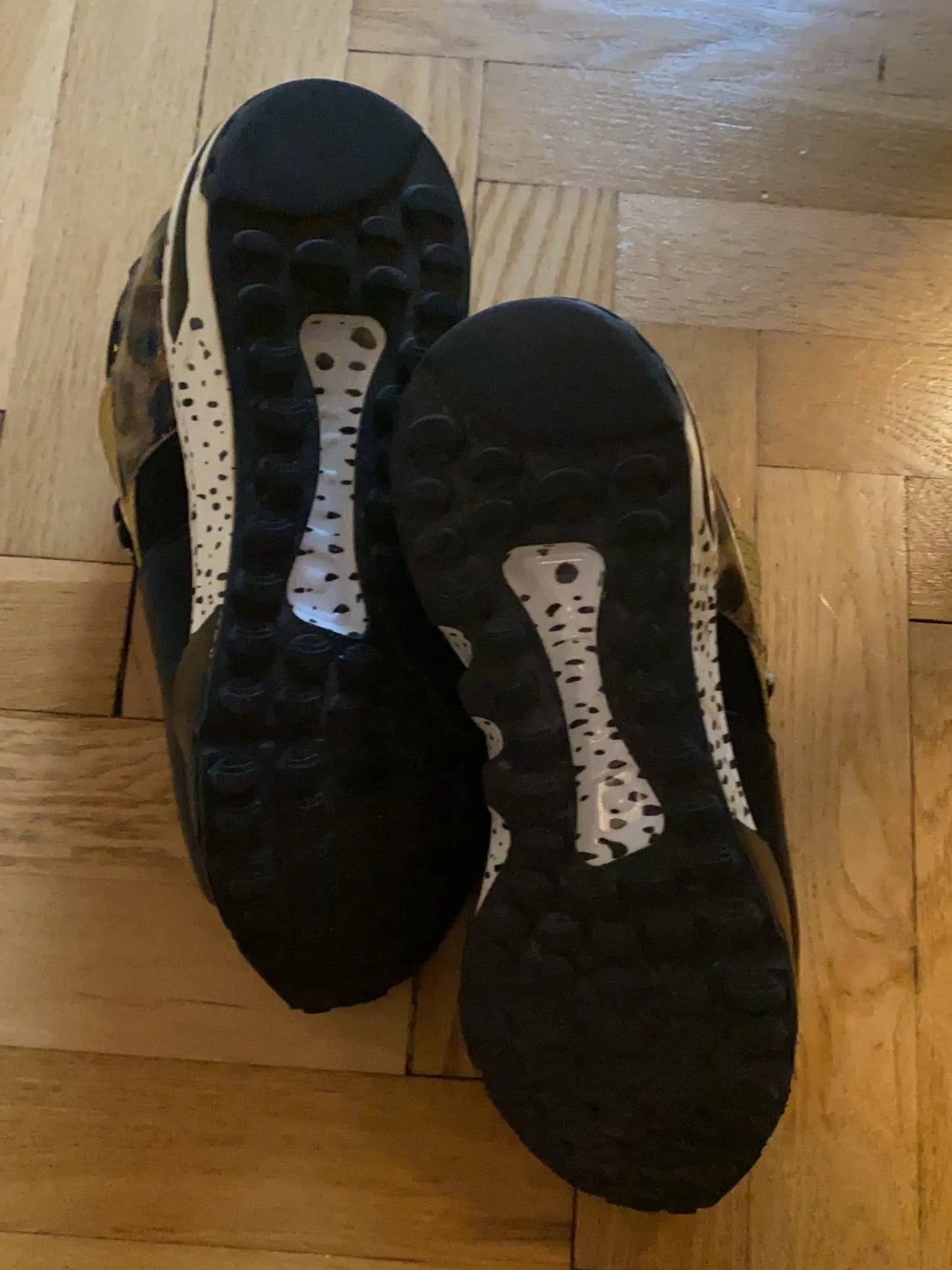 Steve Madden Sneakers